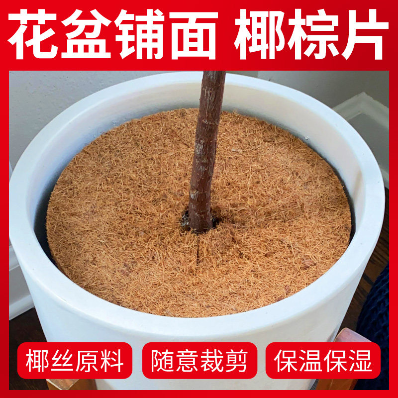 速发椰丝铺栽花铺盆面草盆景盆面绿植花盆土面装饰椰棕片护土盖板