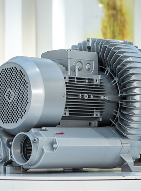 现货2RB 10漩涡高压风机 80V-415V旋涡高压鼓风机