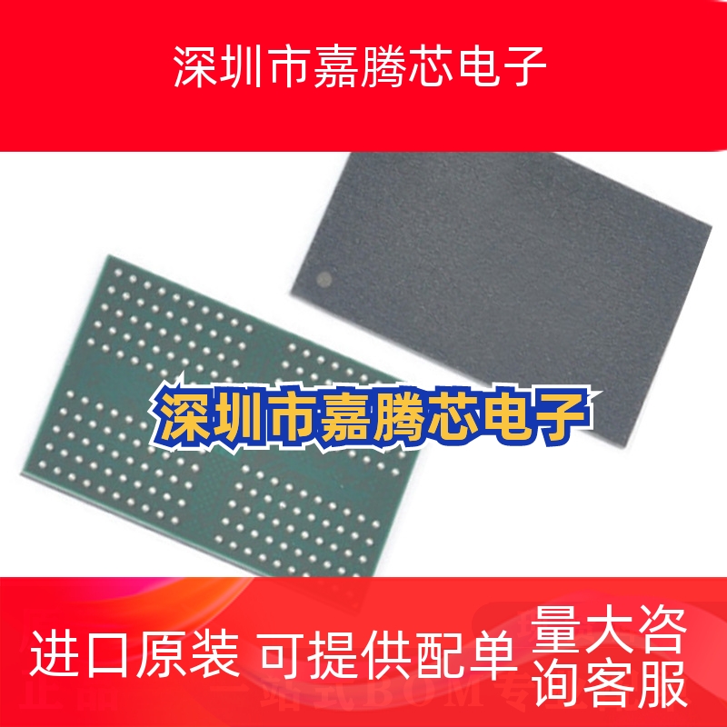 RS1G32LF4D2BDS-53BT 封装FBGA-200 4G LPDDR存储器 原装正品芯片