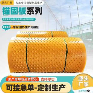 聚乙烯多点锚固板耐腐蚀速格垫隧道管道内衬板防腐板HDPE锚固板