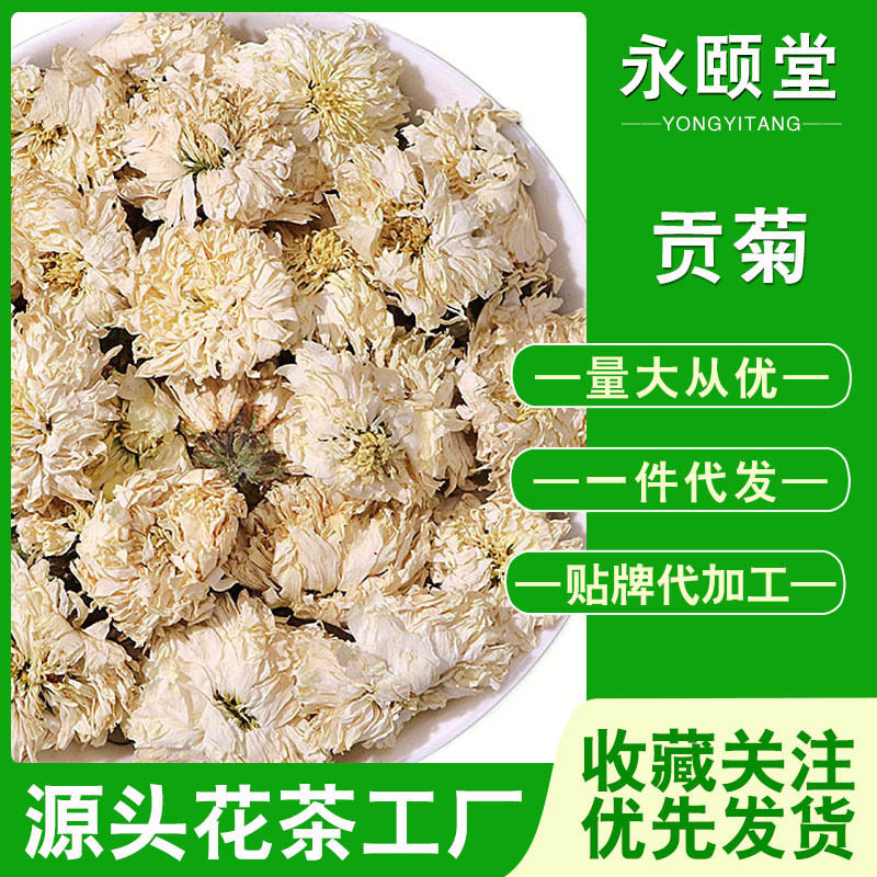 贡菊散装新货安徽黄山白贡菊500g