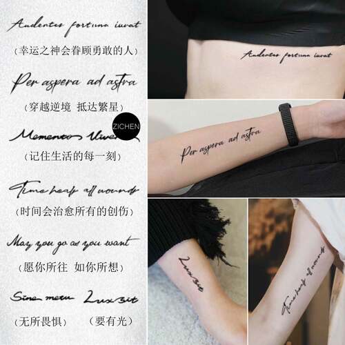 ZICHEN 拉丁文套装草本纹身贴防水男女英文句个性高级感锁骨手臂