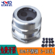 304不锈钢二孔电缆防水接头多孔格兰2芯根线缆密封固定头IP68葛兰