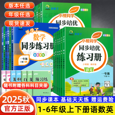 2025新开学了语文同步练习册一二三四五六年级下上册数学英语课时作业同步人教北师大版小学思维专项训练小橙同学阅读理解寒假衔接
