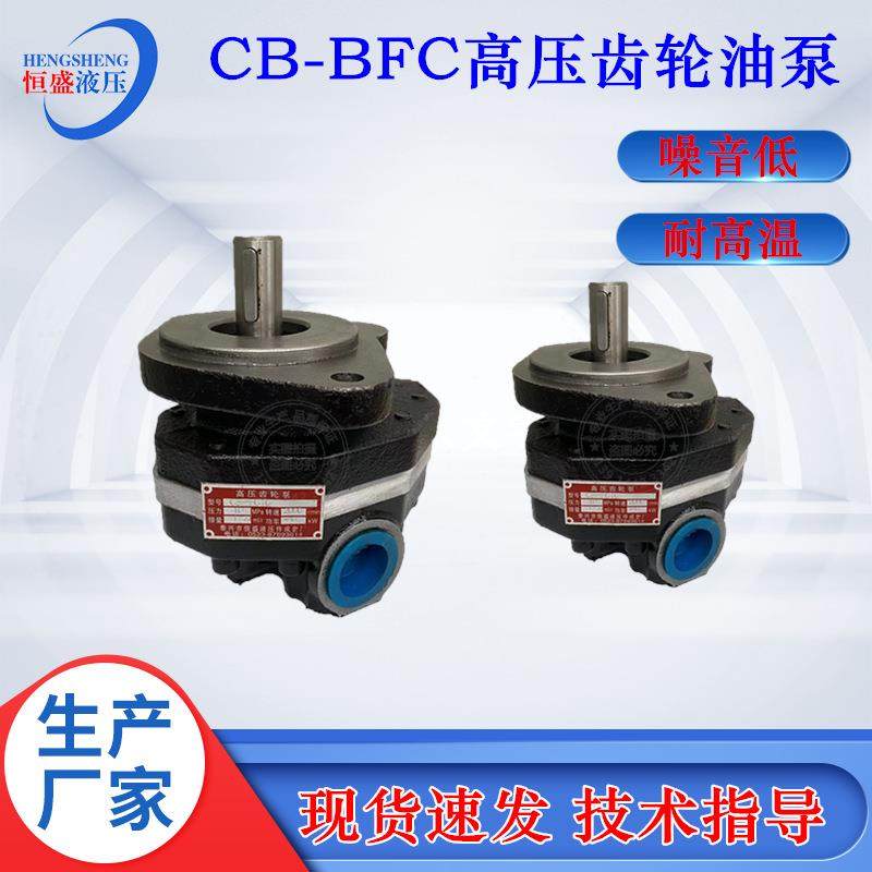 装载机铲车CB-FA18-FL25321640CB-FC50榆次单级高压齿轮油泵,五金/工具,其它泵类型,淘宝优惠券,粉丝福利购,淘宝优惠卷