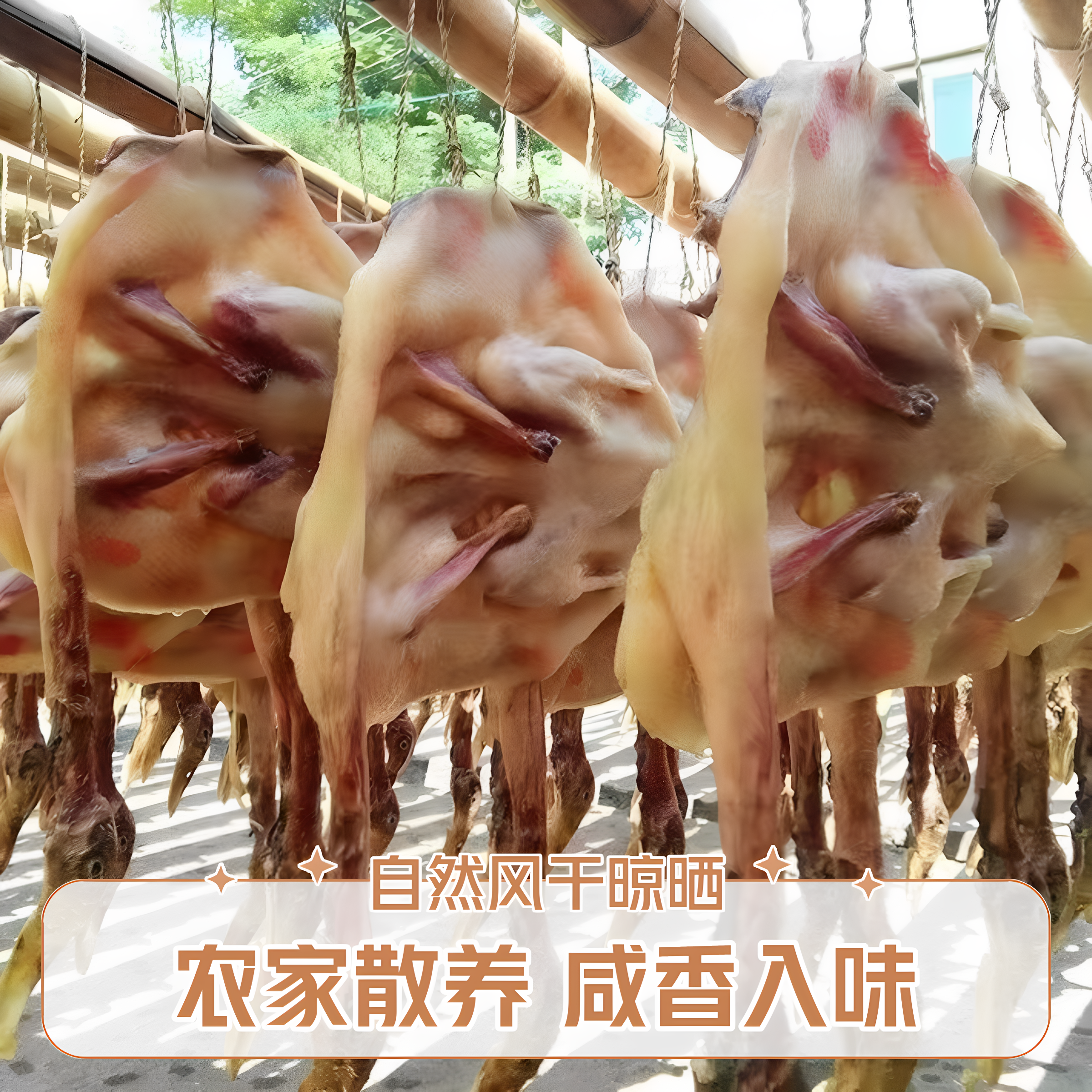 荆门十里铺正宗风干鸭腊鸭湖北土特产板鸭整只农家自制腊味干货