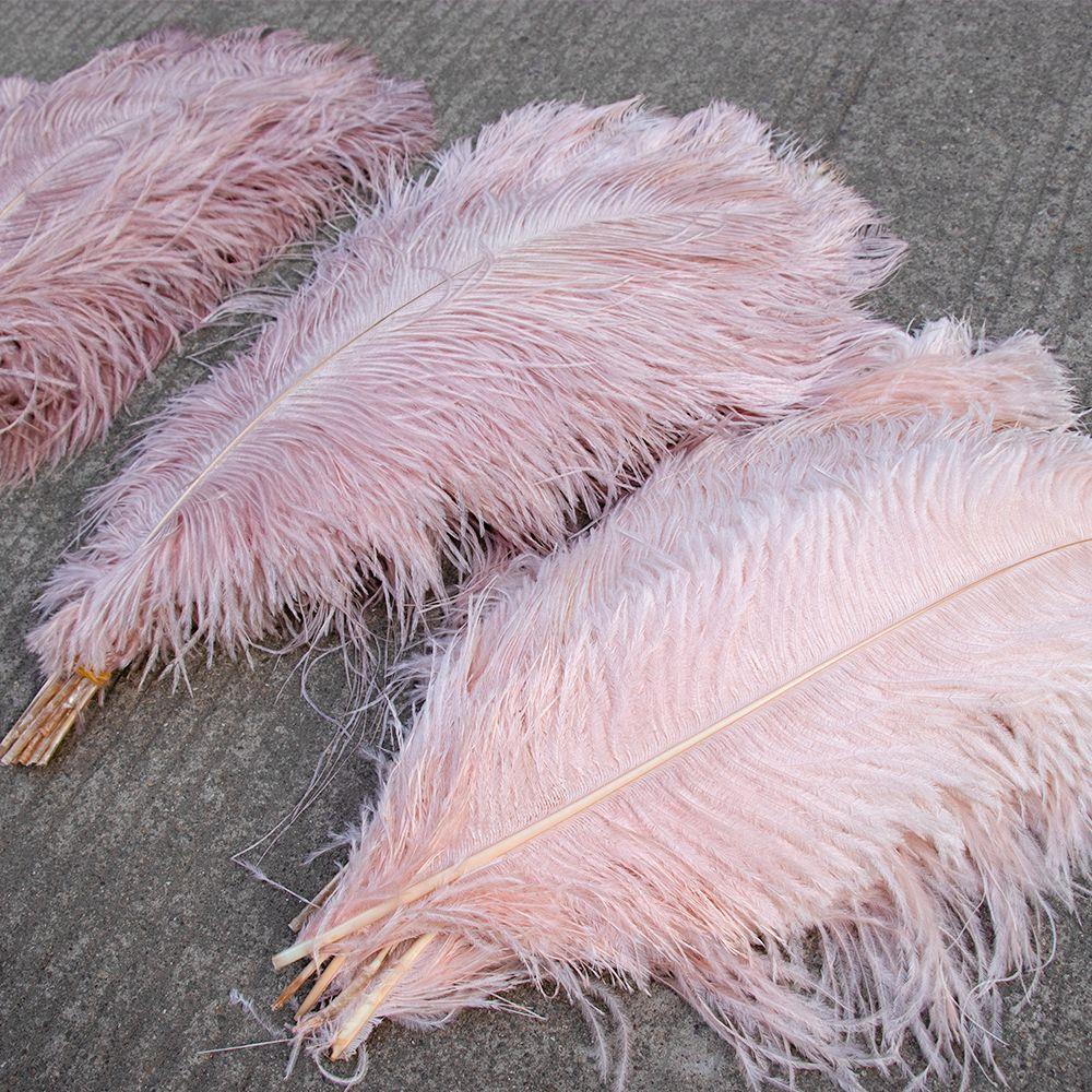 10Pcs Colored Fluffy Ostrich Feathers for Natural Plumes Cra