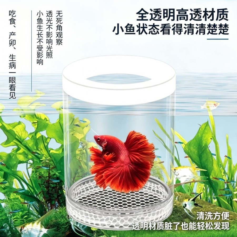 孔雀鱼繁殖隔离盒幼鱼培育悬浮孵化盒水族鱼缸漂浮式育苗分隔盒子图片