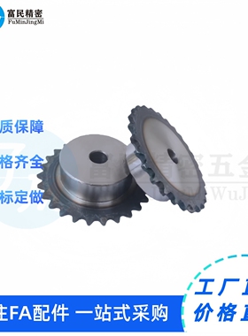 SP40B23/24-N-12 14 15 16 17 18 19 20 22 24 25 2830 链轮