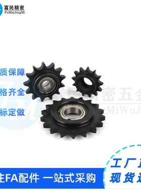 SP50B20/21-N-15/16/18/19/22/24/25/28/30/32/35/38/40/45 链轮