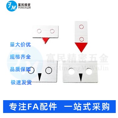 指示尺刻度尺 PPS12 PPSP12 PPL20 PPLP20 非标定做