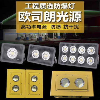 led灯厂房100瓦200W400W投光灯工地施工低压24V36V船用隧道灯30W