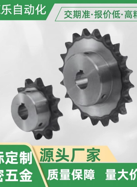 链轮 25B / SP25B16-N-10/12/SP25B16-N-10K/SP25B17-N-10/12链条