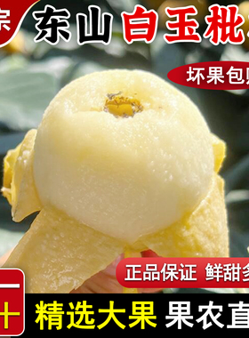 正宗东山白玉枇杷新鲜水果5斤精选大果甜多汁坏果包赔当季现摘
