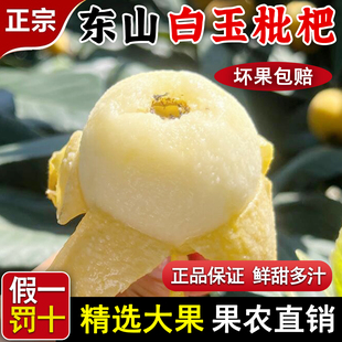 正宗东山白玉枇杷新鲜水果5斤精选大果甜多汁坏果包赔当季现摘