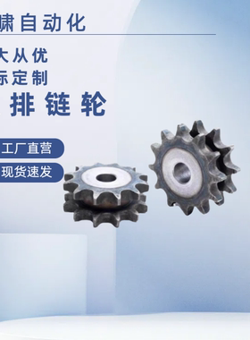 双排链轮SP50SD20-N-25 28 30 35 40 /SP50SD21-N-25 28 30 35 40