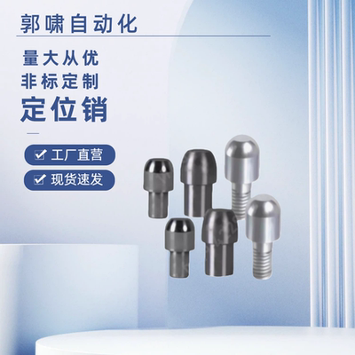 YBF01 21 02 22 06 26 11 31 41 42 46 51 55-D-P大头圆锥定位销