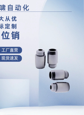 YCF01 06 08 11 21 31 26 36 YCF41 51-D-PL大头锥角螺栓固定位销