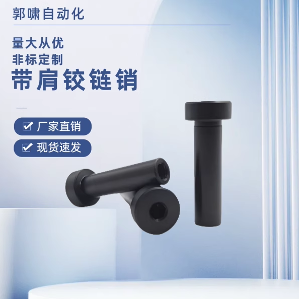 CLBRM SCLBRM6 8 10 12 15 16 20-15 20 25 30内螺纹 带肩铰链销