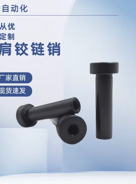 CLBRM SCLBRM6 8 10 12 15 16 20-15 20 25 30内螺纹 带肩铰链销