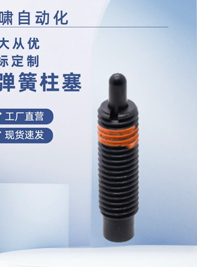 PJL3/4/5/6/8/10/12/16/20-1.5/2/3/4/5/10/15/20/30/40弹簧柱塞