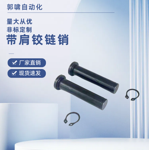 HCDG带肩铰链销轴 HCCG3 4 6 8 10 12 15 20 卡簧销 MIC01 MIC11