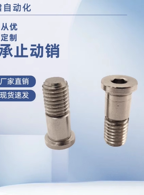 止动销 轴承BGP BGPM10 12-15 16 17 18-L20 L25 L30 L40 L50 L60