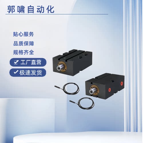C-MCXVBMMS1-25-ST40-C8-IN-N-RX2薄型油缸 -扁形 通孔 卧式