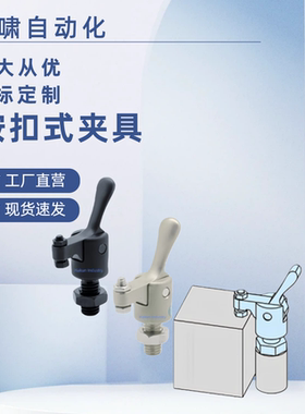 夹具 按扣式夹具 QLSNDM08/12-01(迷你下推式)QLSNDM08/12-01-SUS