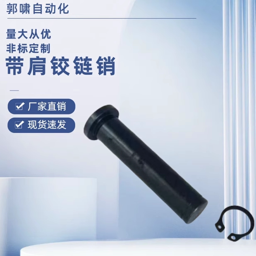 MIC01-D3 D4 D5 D6-L10 L12 L15 L18 L20 L22 L25 L30 带肩铰链销