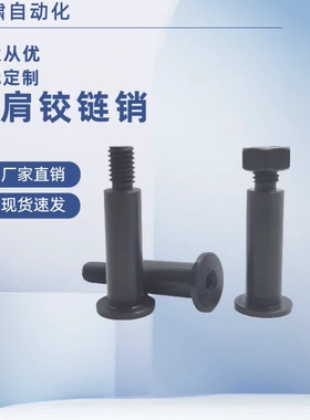 CLBR CLBRU5 6 8 10 12 15 16 20 25-15 20 25 30SCLBR带肩铰链销