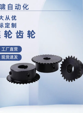 SP15B28/30-N-12 15 16 SP15B33-N-12 15 16链轮 SP15B35-N-12 16