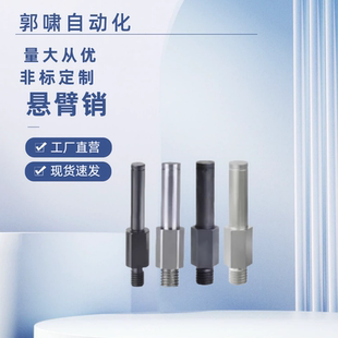 MEJ01 MEJ02 MEJ11 MEJ12-6 8 10 12 13 15 16 17 18 20 22悬臂销