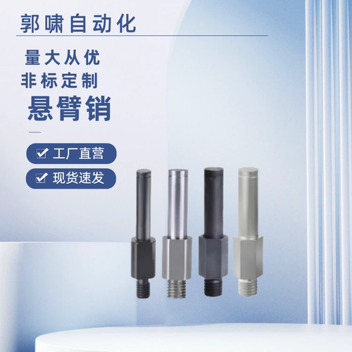 MEJ01 MEJ02 MEJ11 MEJ12-6 8 10 12 13 15 16 17 18 20 22悬臂销