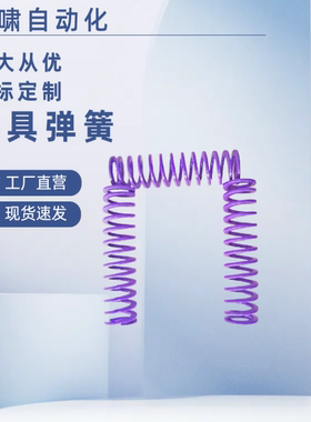 矩形弹簧 模具弹簧J-TY39-40/45/50/55/60/6789100紫色螺旋扁弹簧