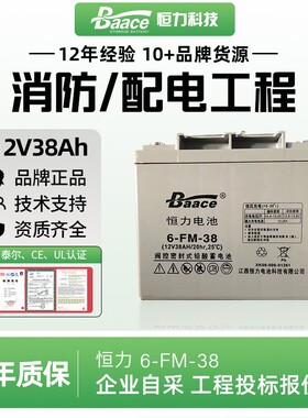 Baace恒力蓄电池6-FM-38/12v38Ah尺寸及实际重量企业机房服务设备