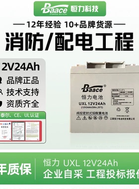 Baace恒力蓄电池UXL12-24/12v24Ah系列说明及安装/企业机房服务器