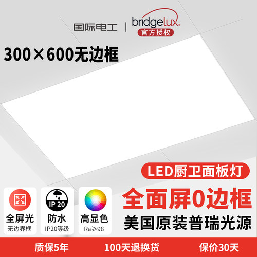 国际电工厨房灯300x600led吸顶灯集成吊顶灯平板灯卫生间灯铝扣板