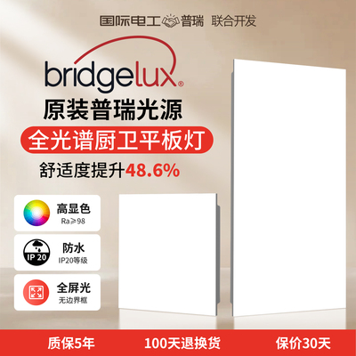 厨房集成吊顶灯30x30cm铝扣板灯
