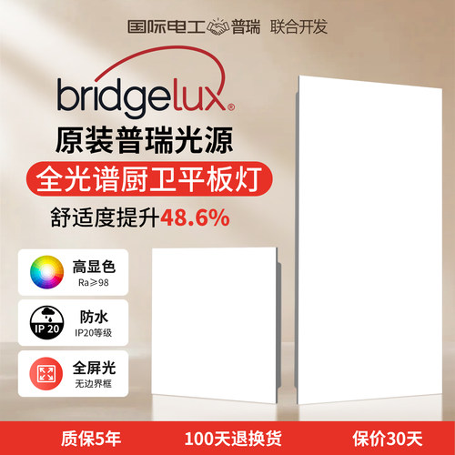 厨房集成吊顶灯30x30cm铝扣板灯