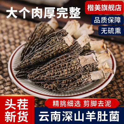 正宗云南羊肚菌煲汤炖鸡排骨汤