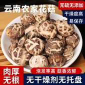 楷美云南花菇香菇蘑菇干货椴木蘑菇云南土特产 包邮