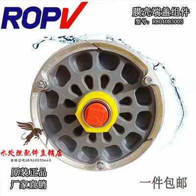 ROPV玻璃钢膜壳乐普R8040B300S原厂乐普端盖密封圈堵头密封端板