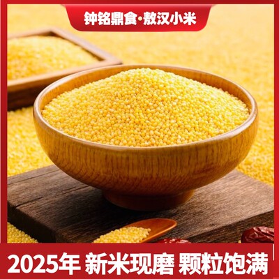 2025年新米现磨敖汉黄小米金苗K1色泽金黄颗粒饱满5斤*1袋H