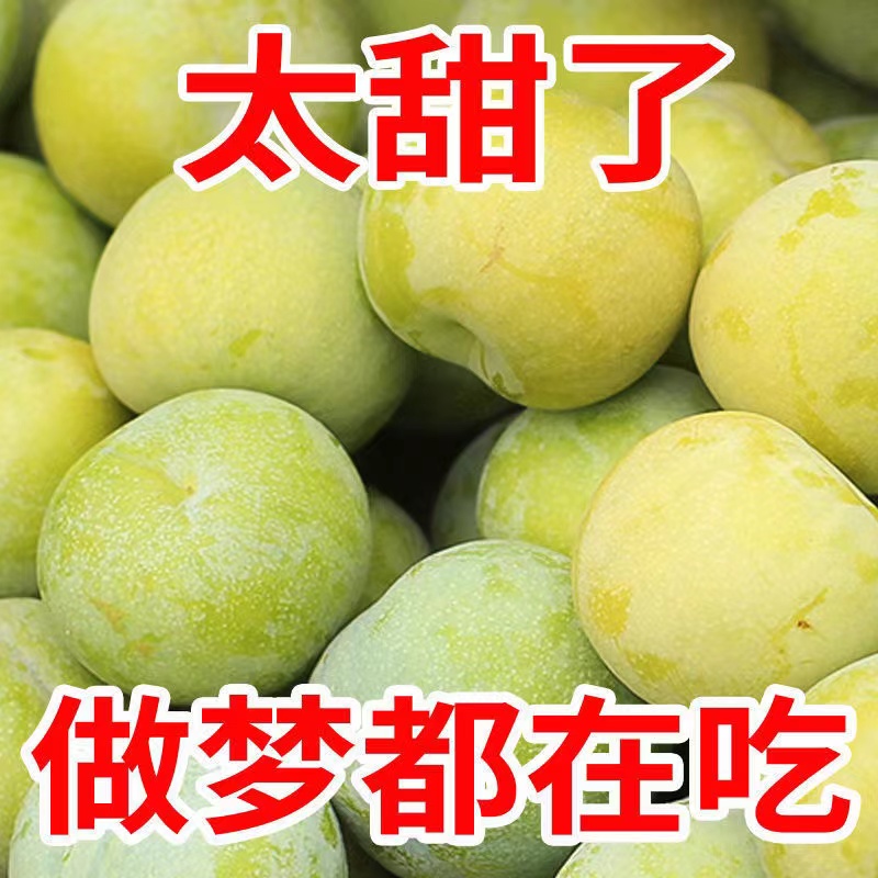 四川脱骨李子新鲜水果大甜青脆半边茵红李树上熟当季5斤包邮