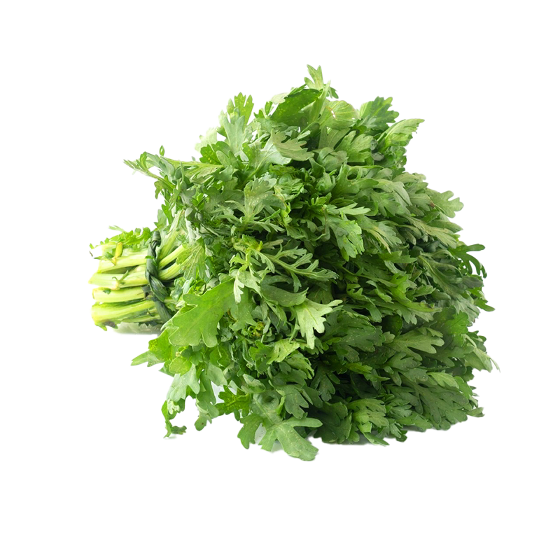 花叶中叶茼蒿菜种籽种小叶大叶茼蒿种子春菊皇帝菜春秋季蔬菜籽种