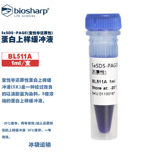 白鲨生物化学试剂蛋白上样缓冲液