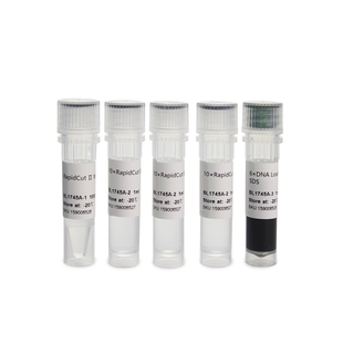 Biosharp/白鲨 BL1745A RapidCut Ⅱ XbaI 快速限制性内切酶