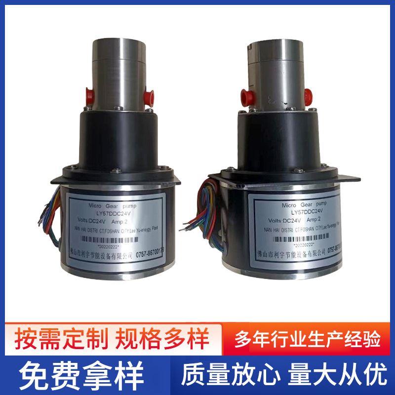 LY57DDC24V小型磁力泵循环泵磁驱动微型不锈钢齿轮泵耐酸碱泵油泵
