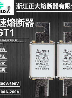 正大快速熔断器NGT1 690V 160A 180A 200A 225A 250A快熔保险丝